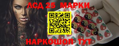гидропоника Тверь