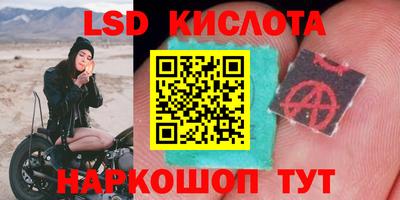 гидропоника Тверь
