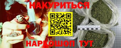 гидропоника Тверь