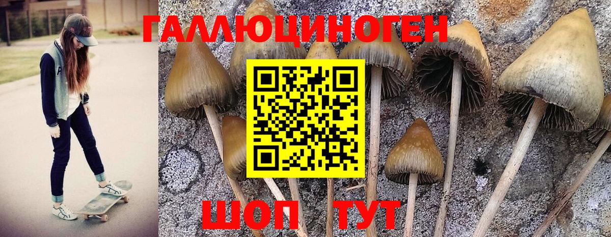 Псилоцибиновые грибы Magic Shrooms Набережные Челны